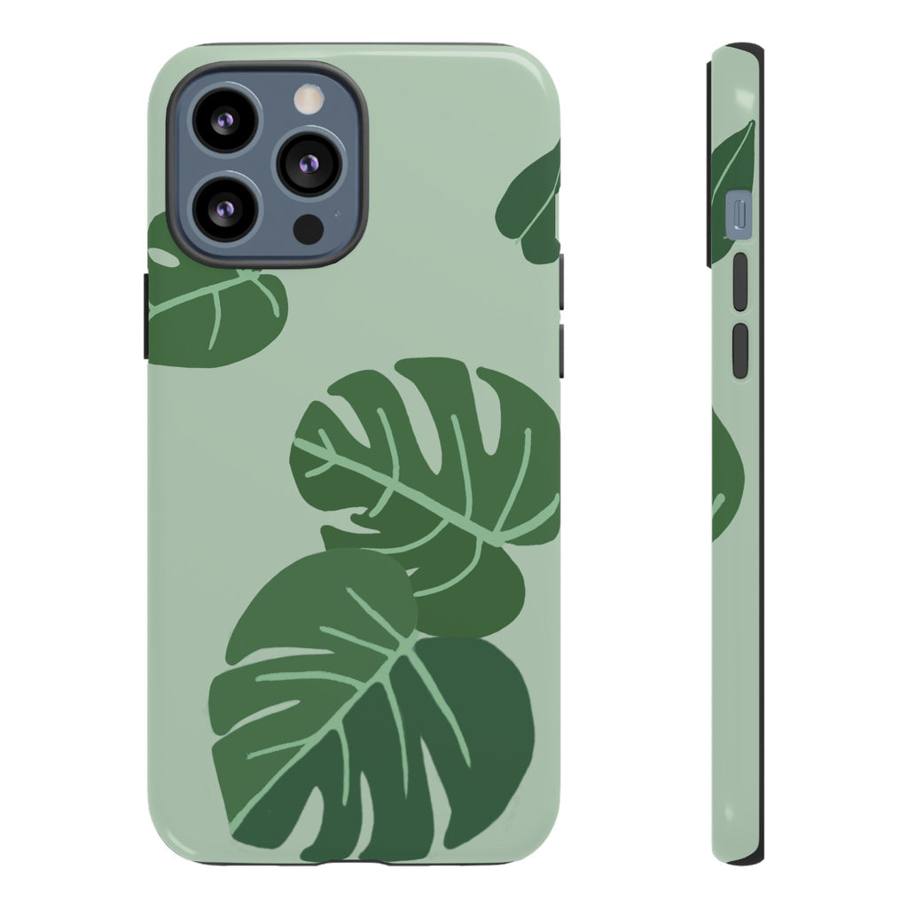 MONSTERA