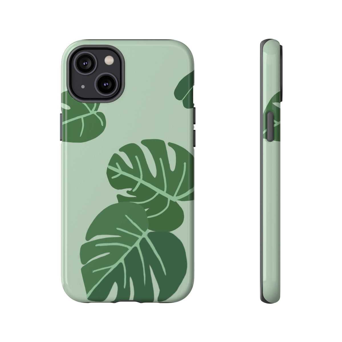 MONSTERA