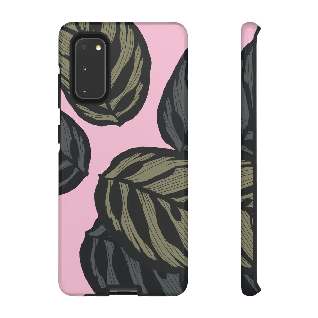 CALATHEA