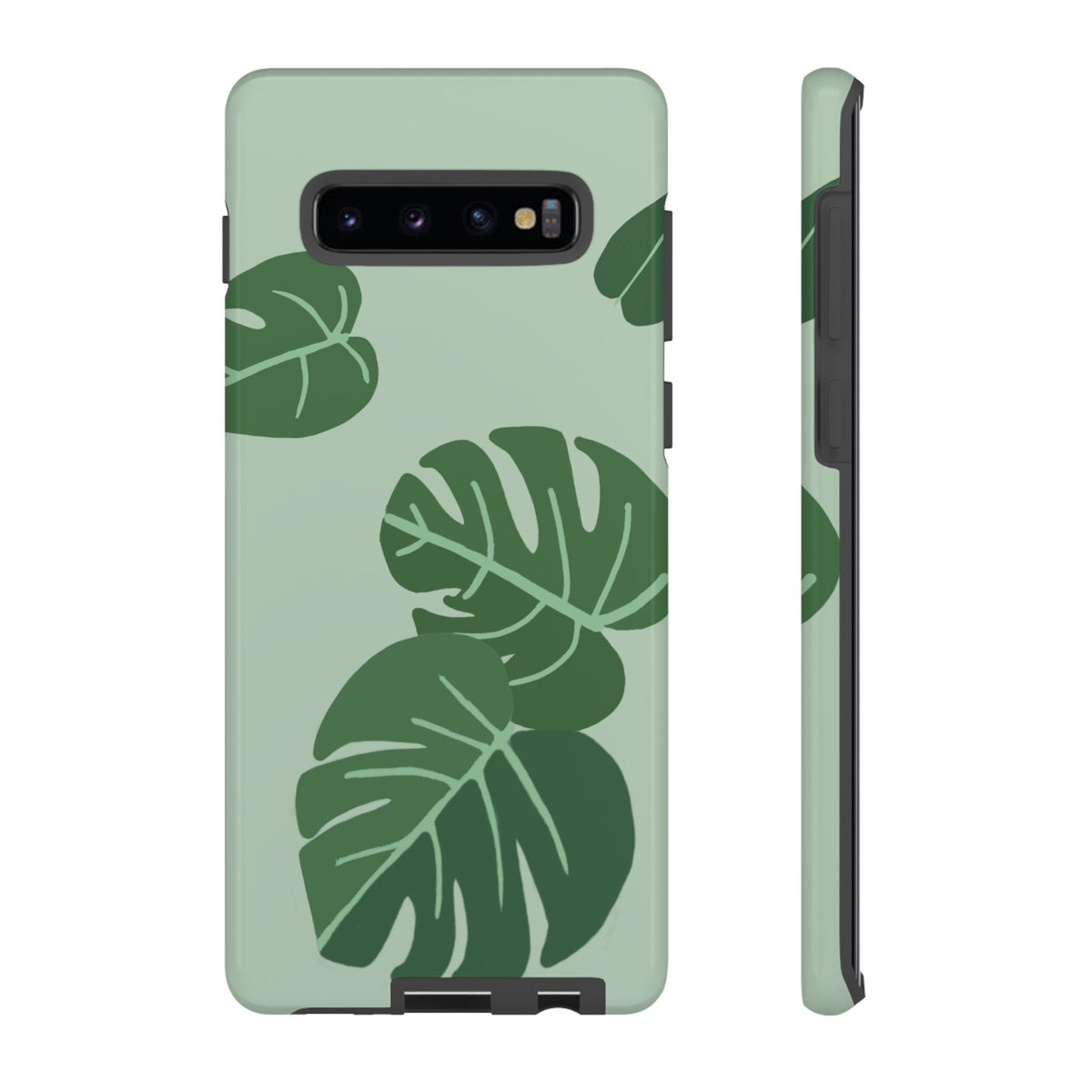 MONSTERA
