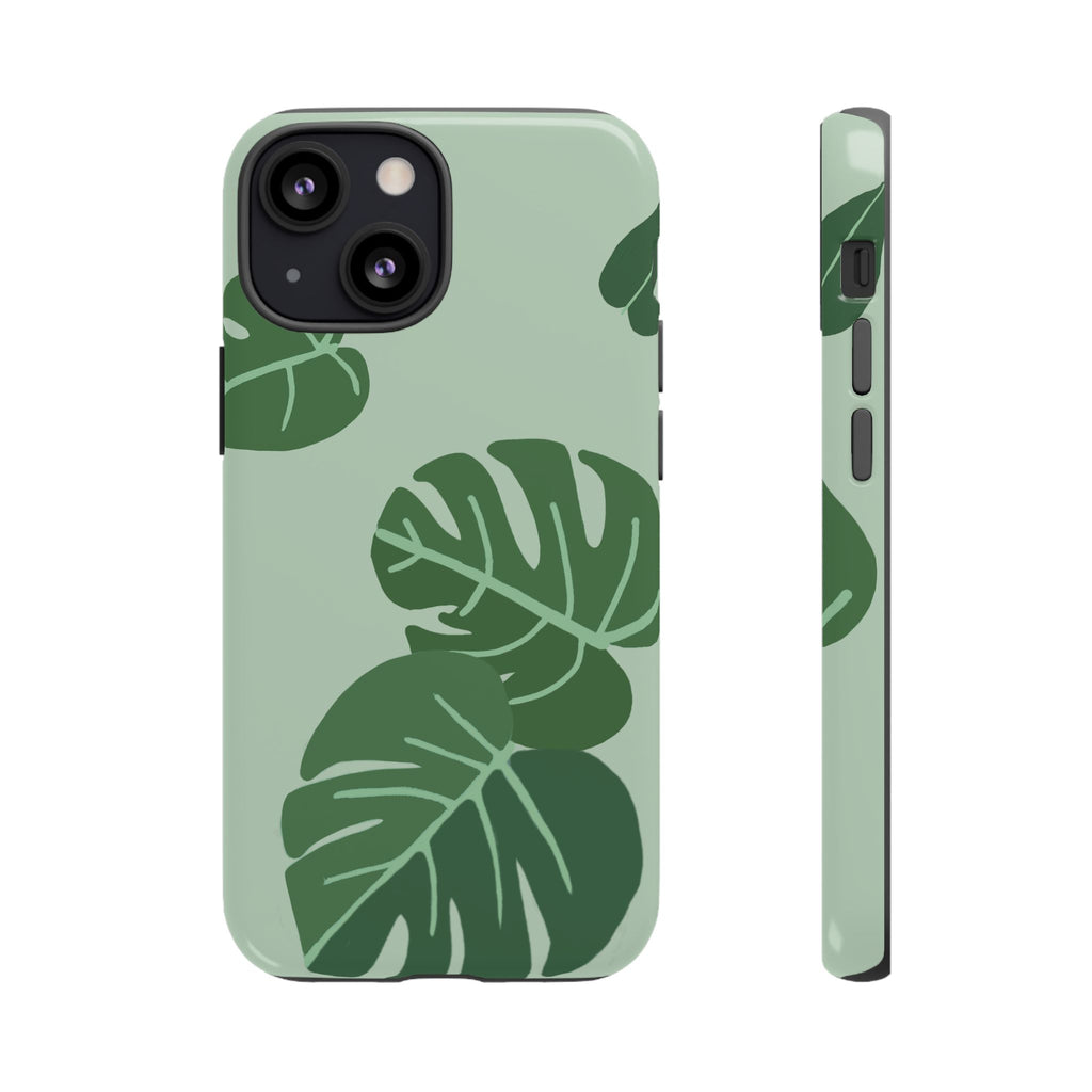 MONSTERA