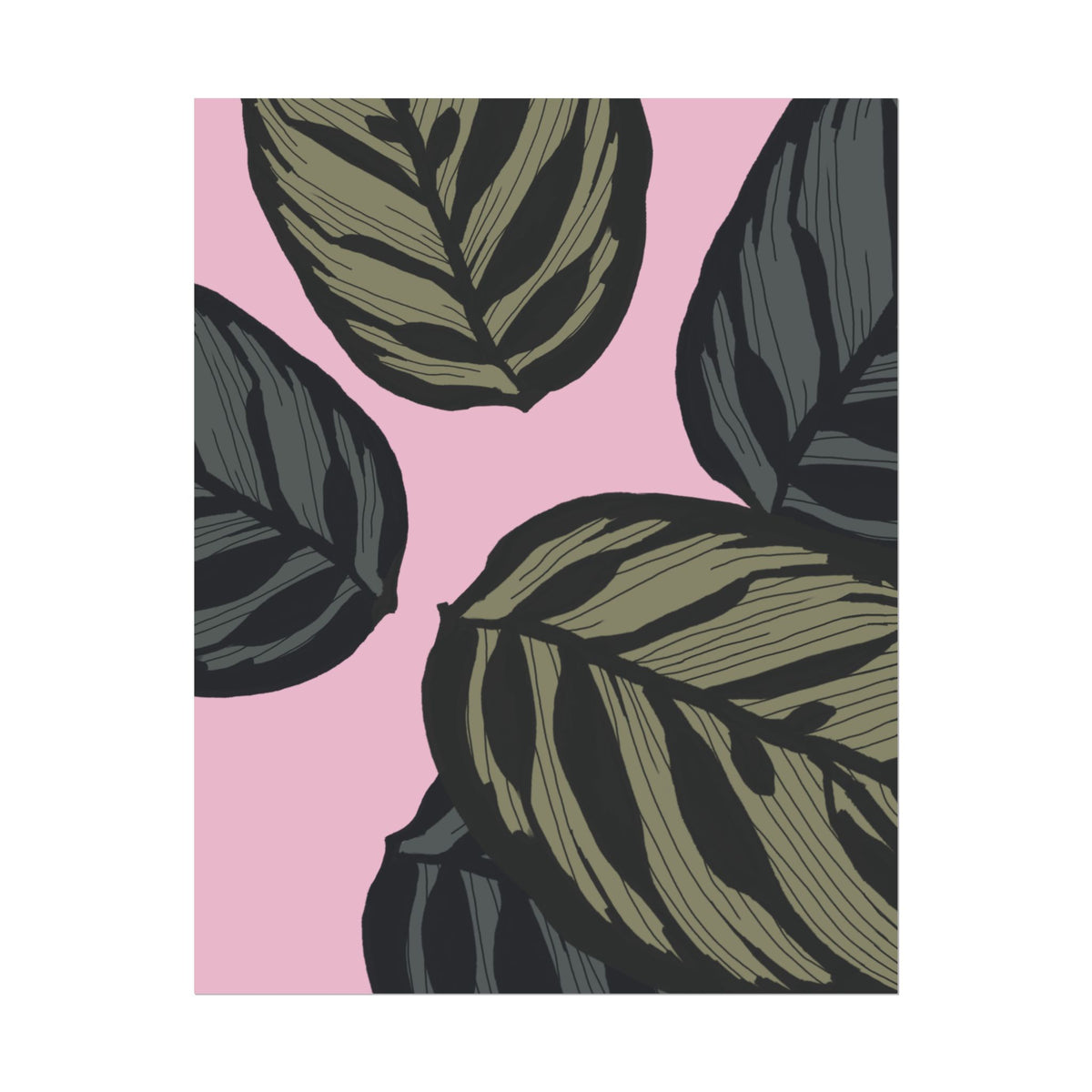 CALATHEA PRINT