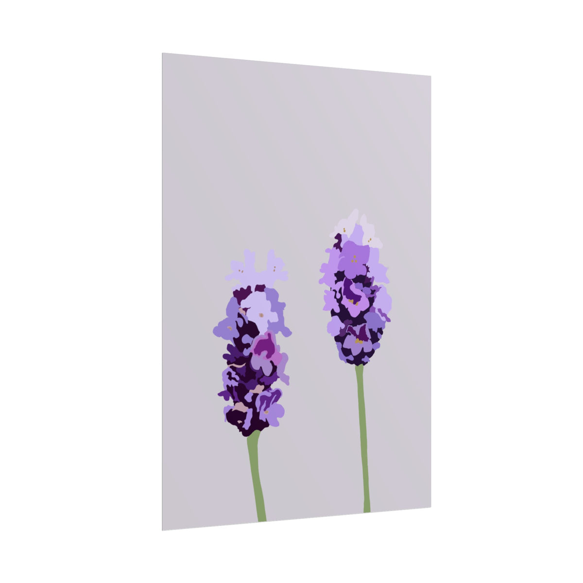 LAVENDER PRINT