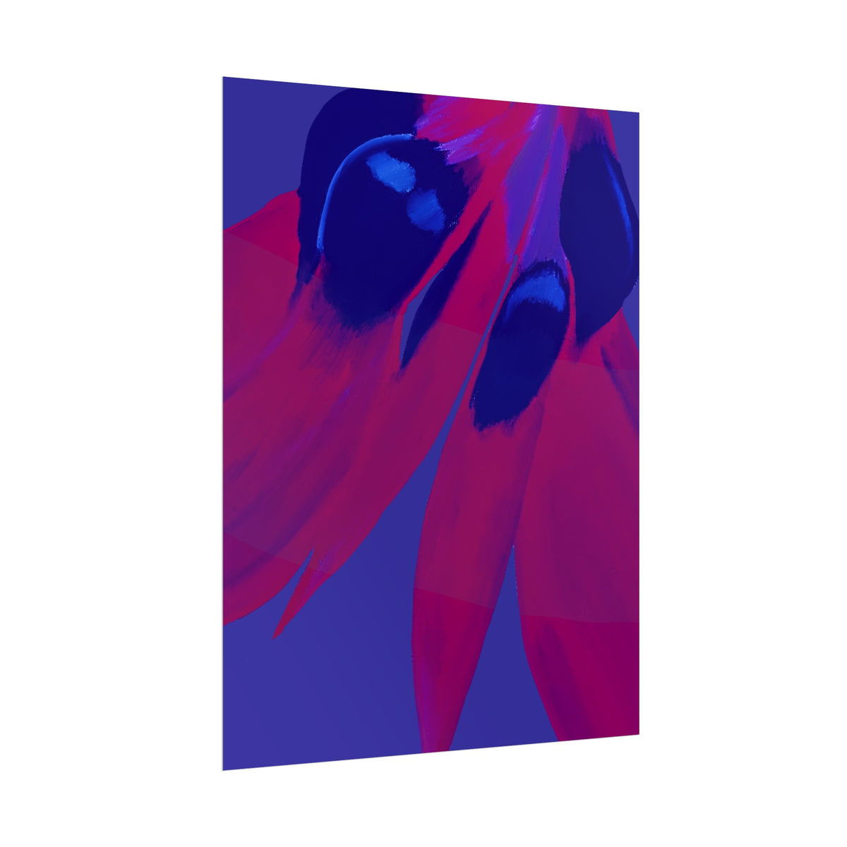 SUNSET DESERT PEA PRINT