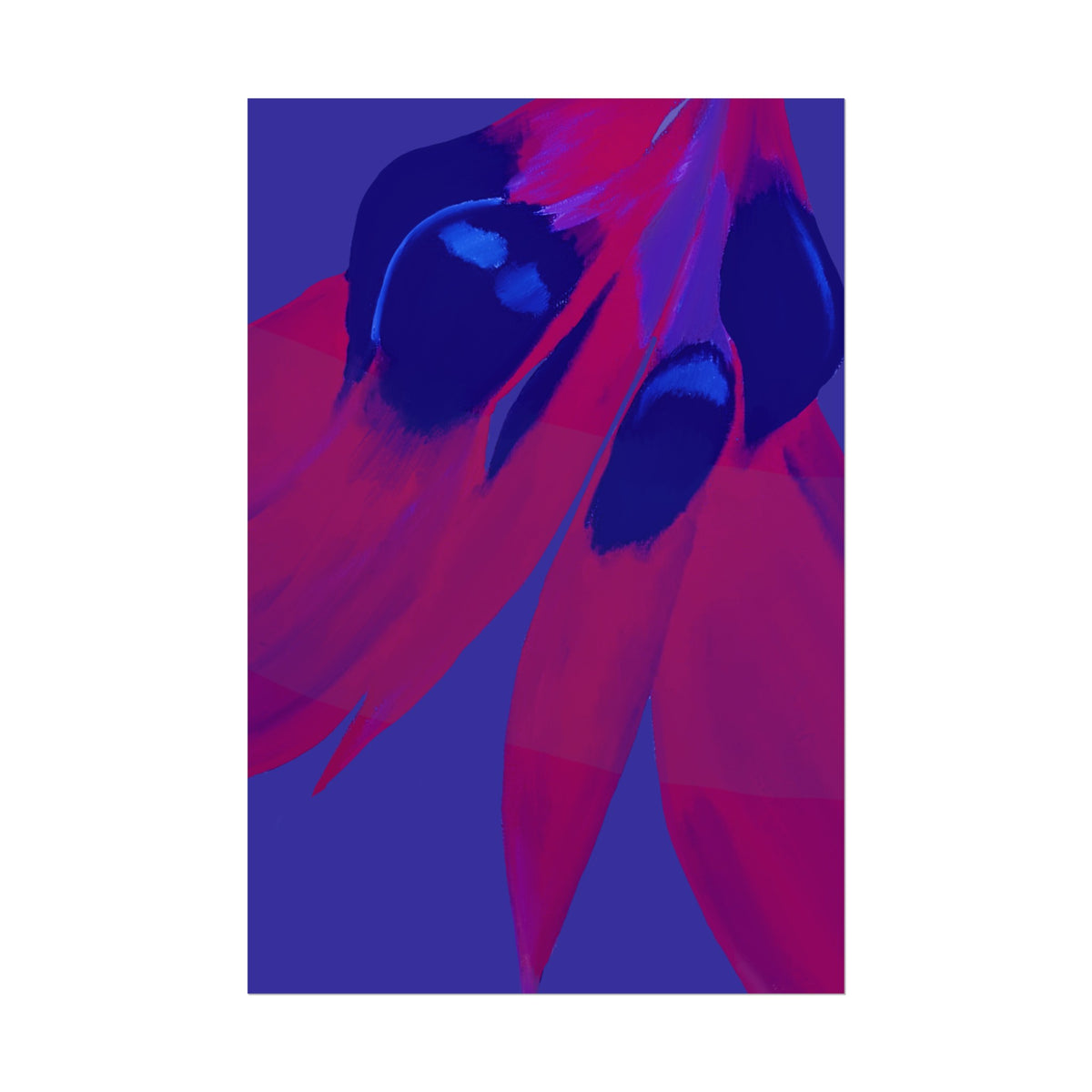 SUNSET DESERT PEA PRINT