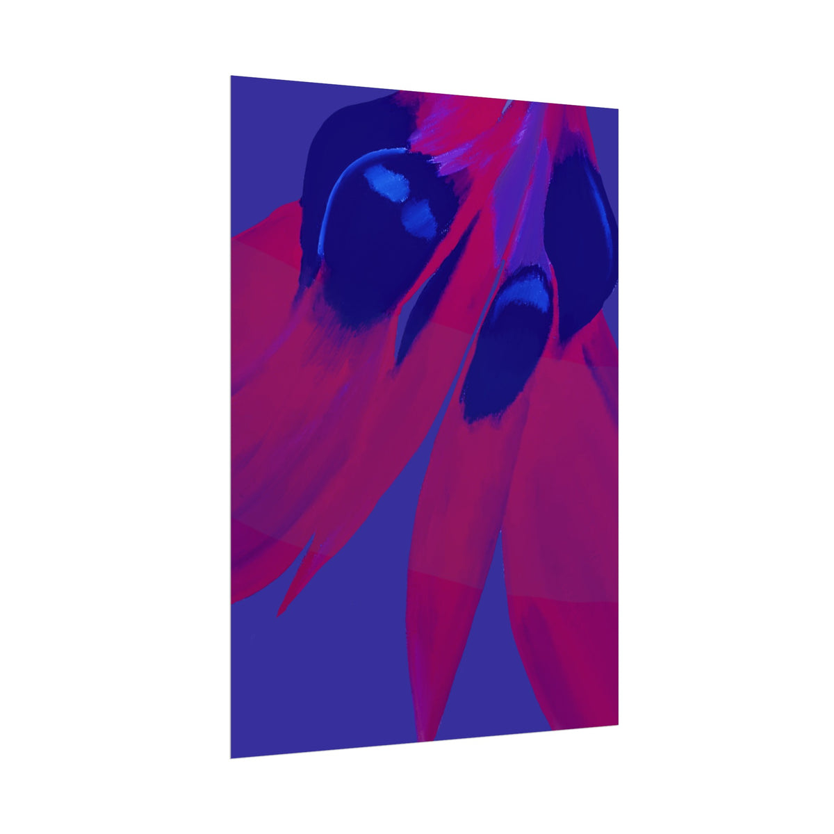 SUNSET DESERT PEA PRINT