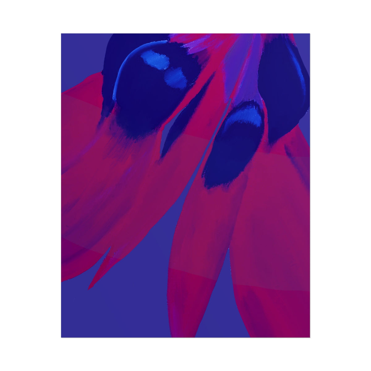 SUNSET DESERT PEA PRINT