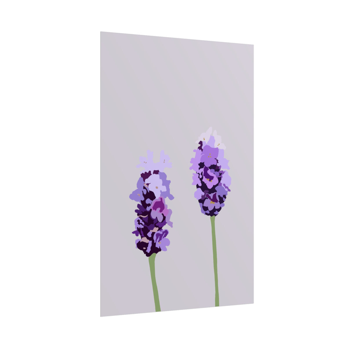 LAVENDER PRINT