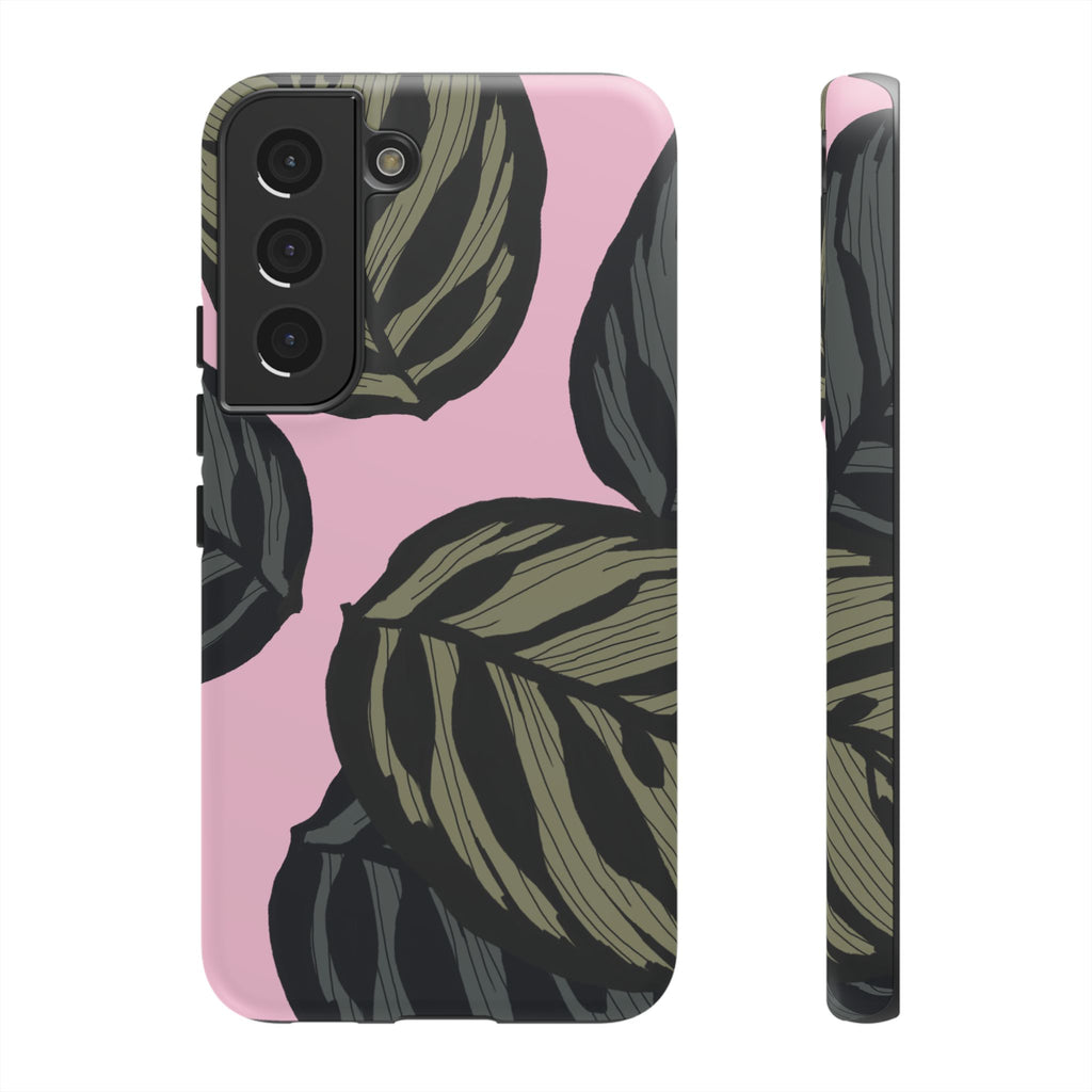 CALATHEA