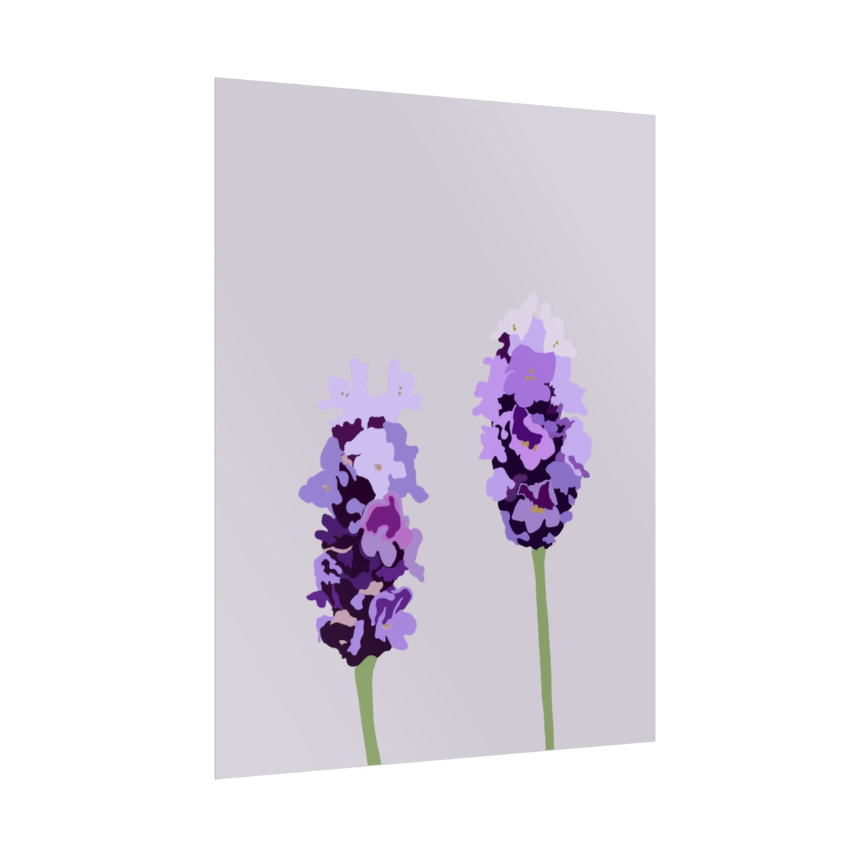 LAVENDER PRINT