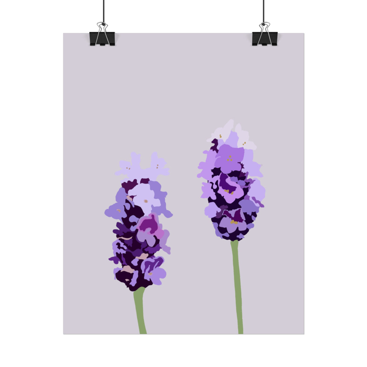 LAVENDER PRINT