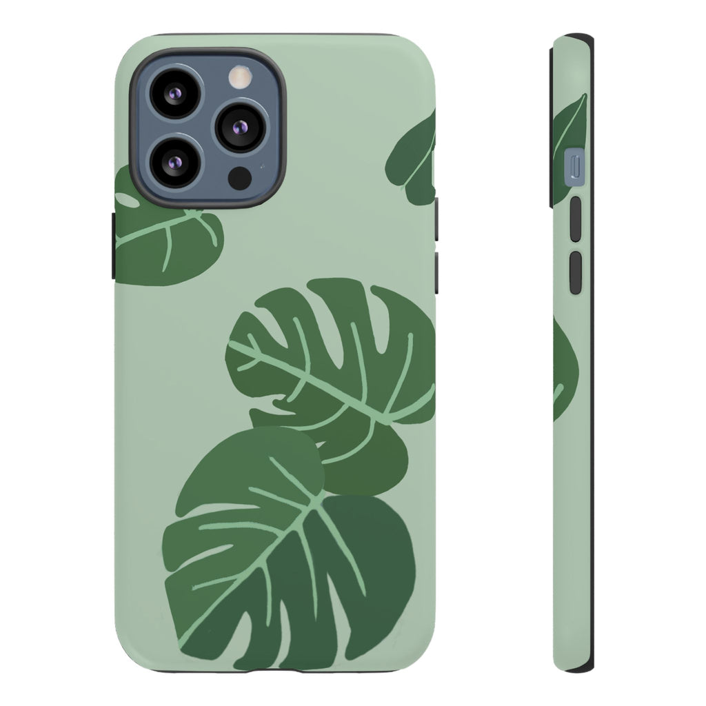 MONSTERA