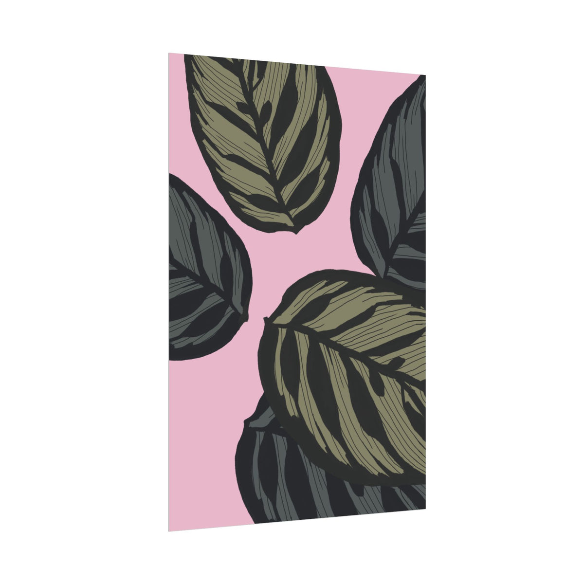 CALATHEA PRINT