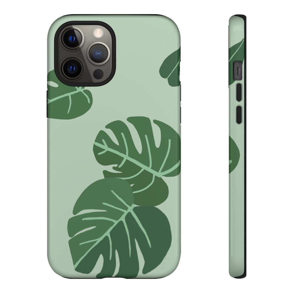 MONSTERA