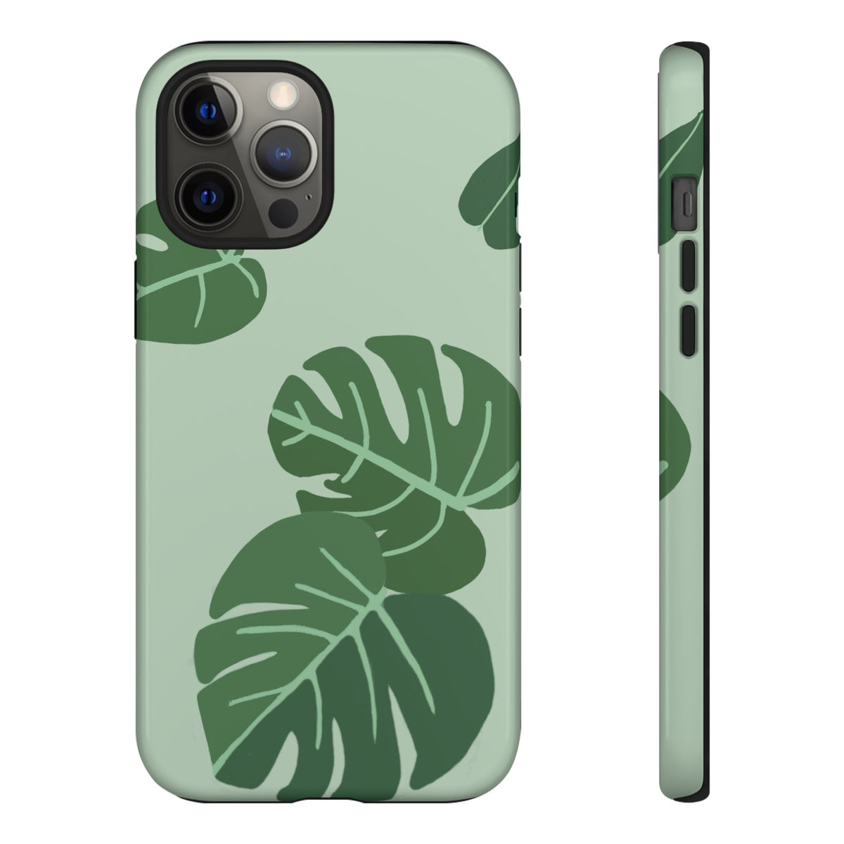 MONSTERA