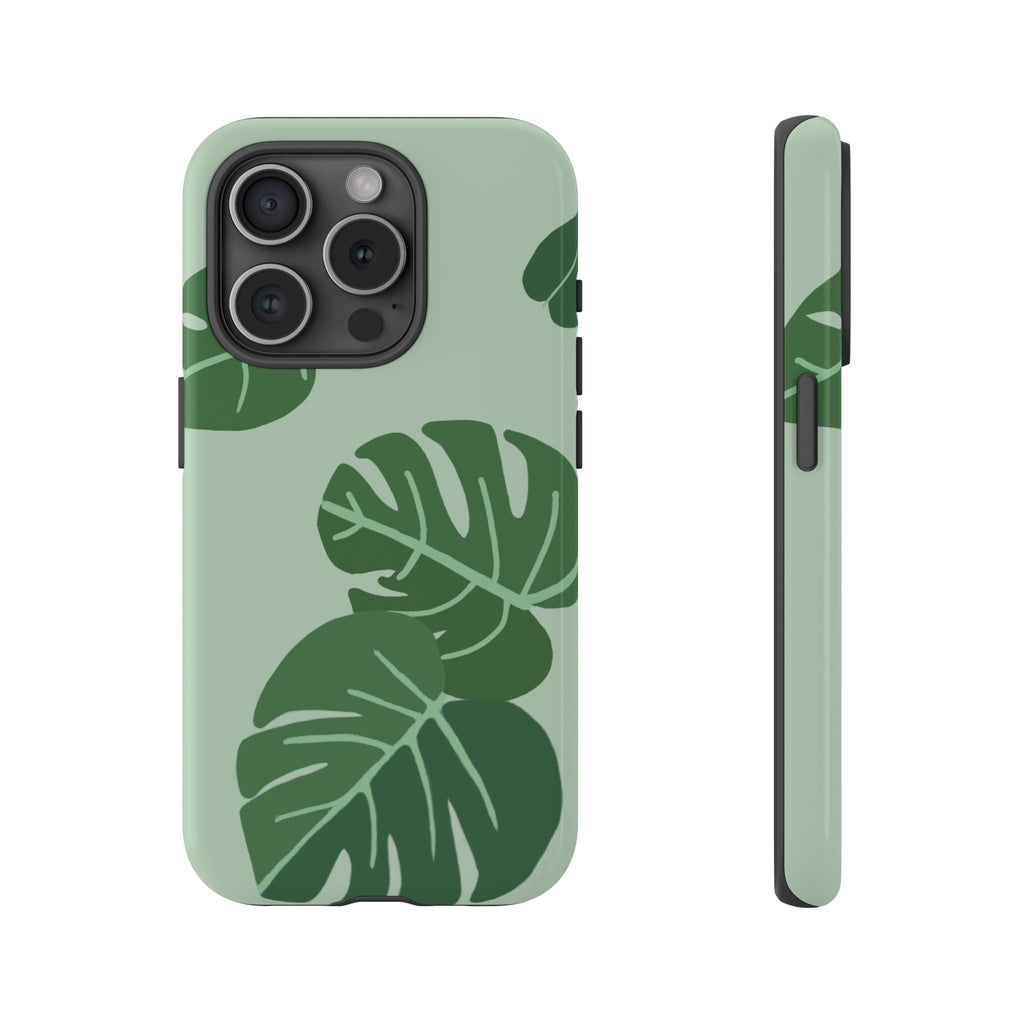 MONSTERA