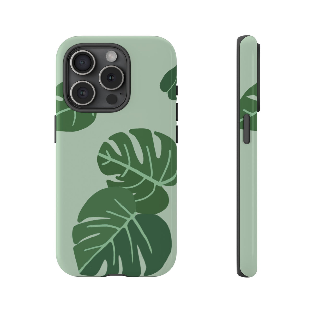 MONSTERA