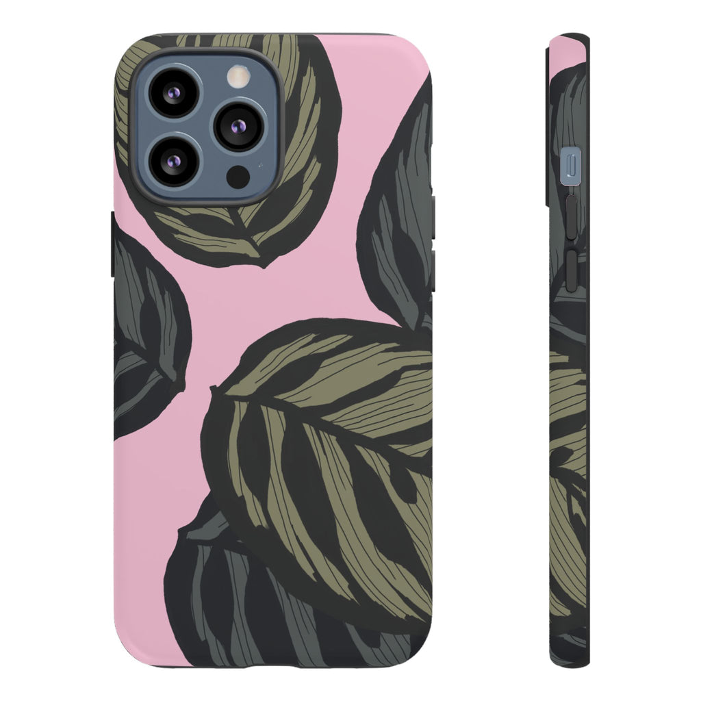 CALATHEA
