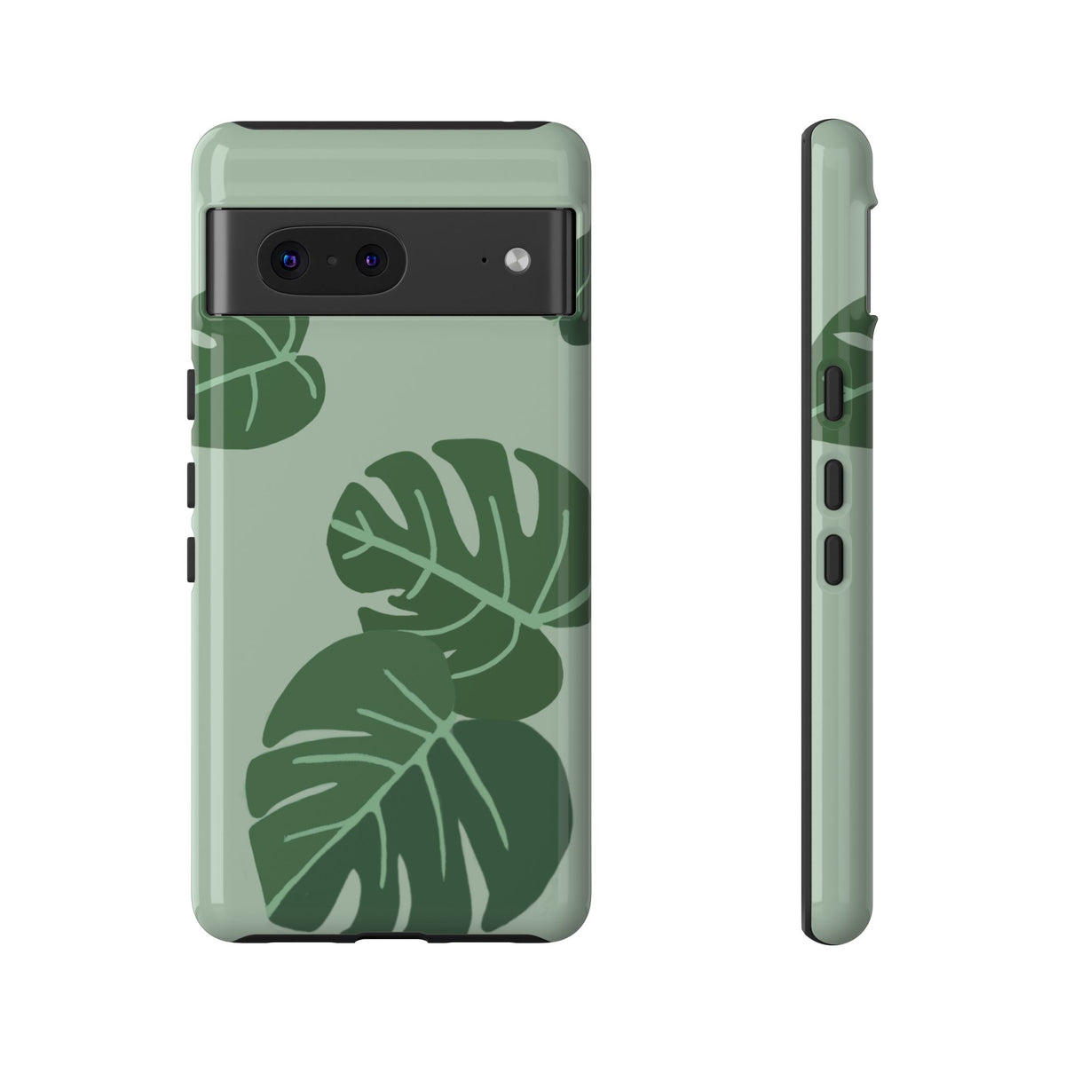 MONSTERA