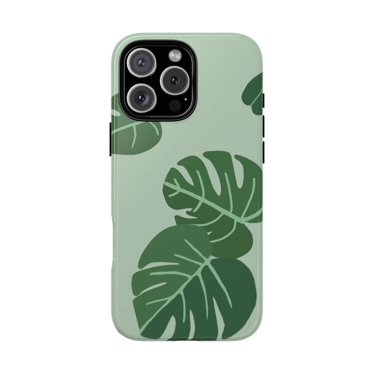 MONSTERA