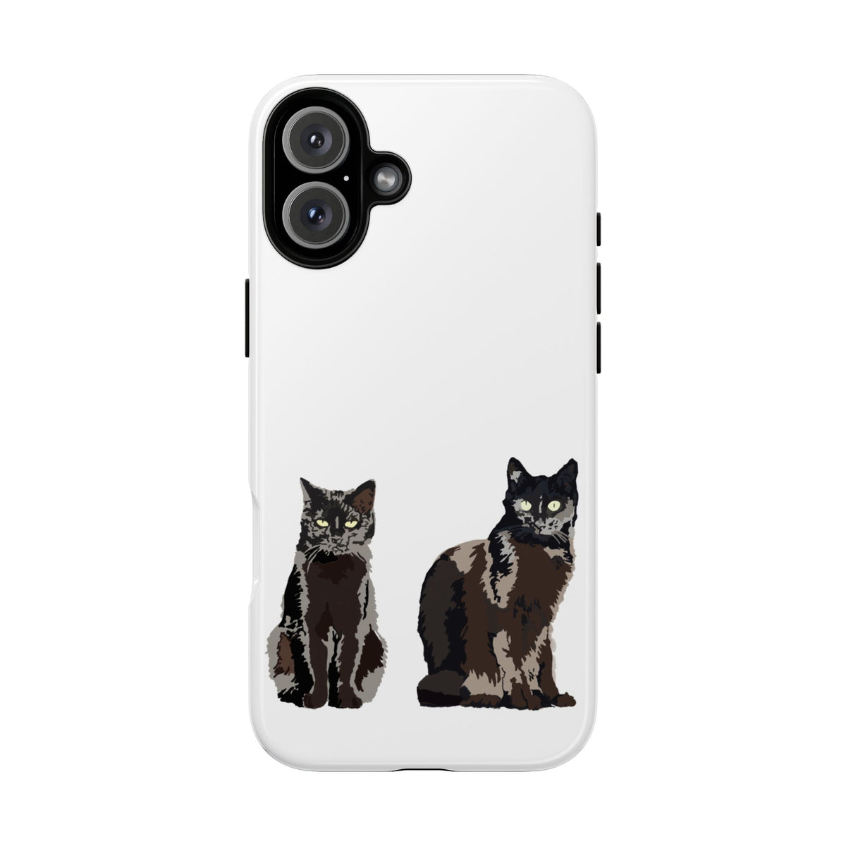 BLACK CATS