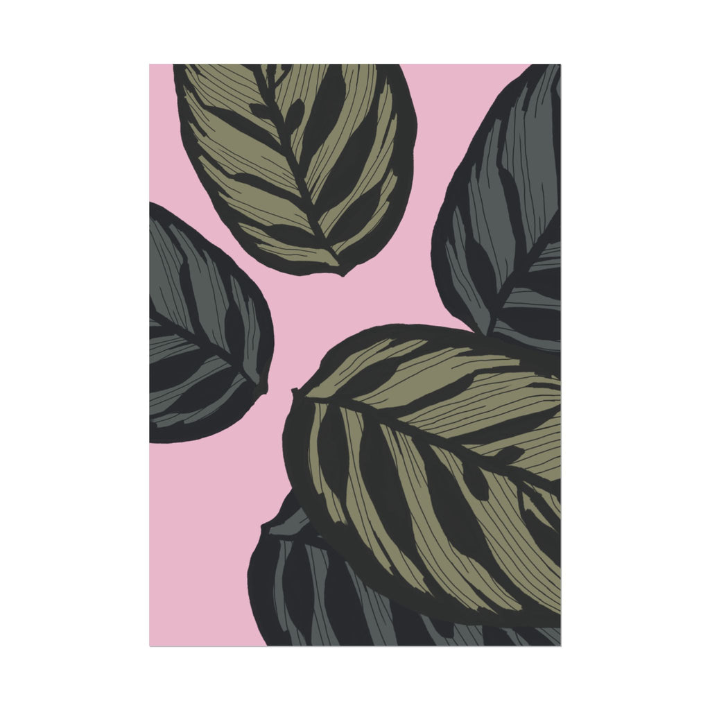 CALATHEA PRINT