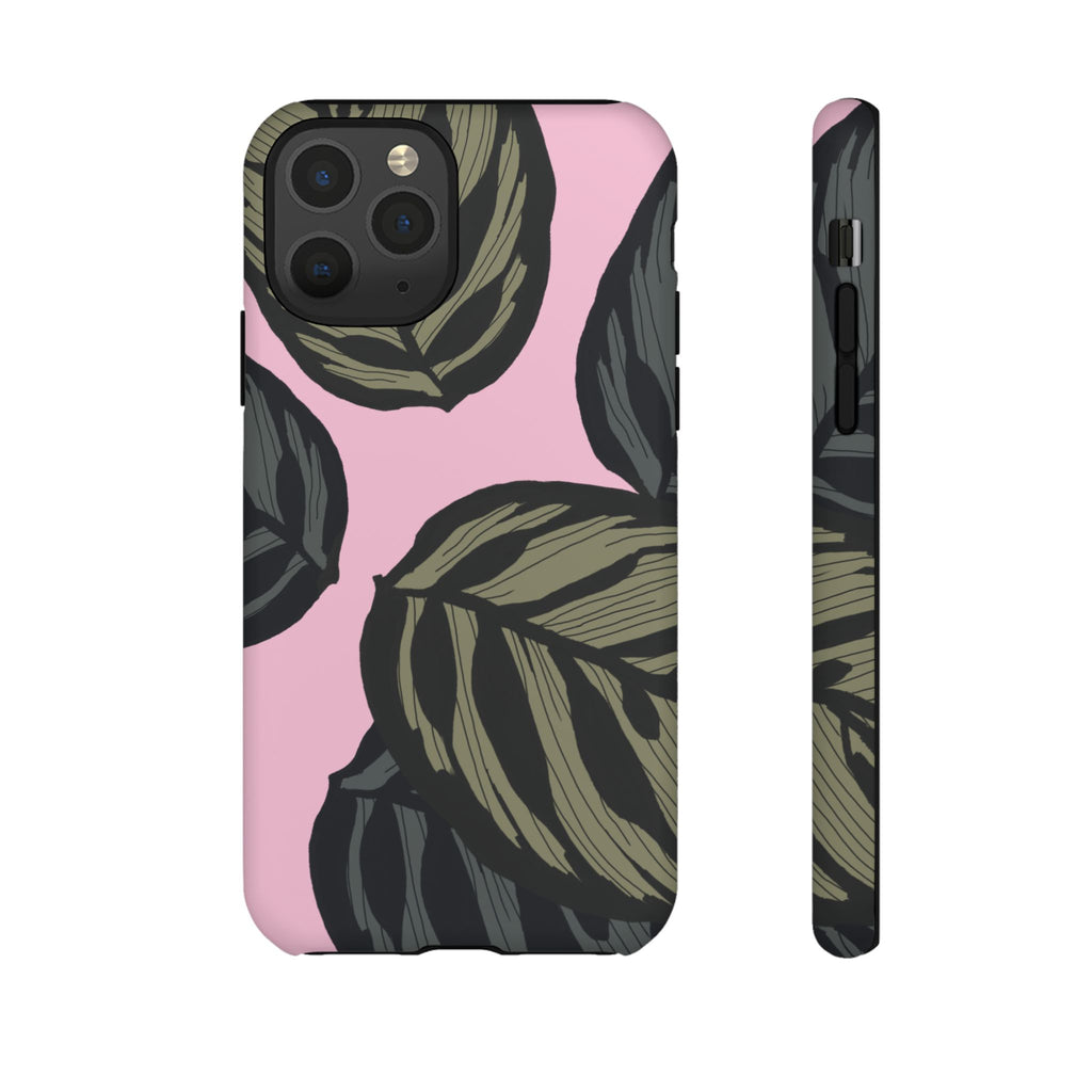 CALATHEA