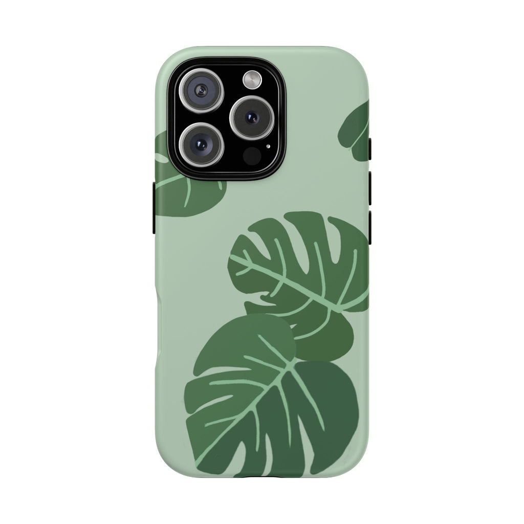 MONSTERA