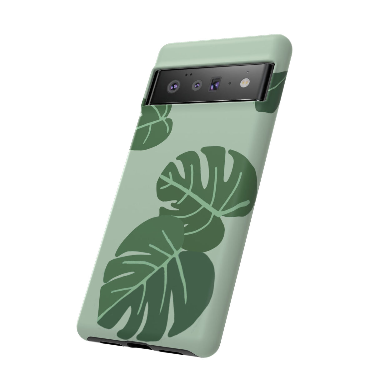 MONSTERA