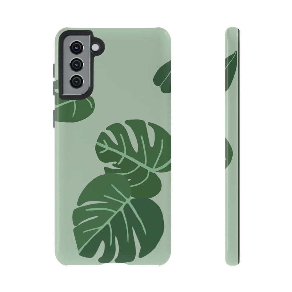 MONSTERA