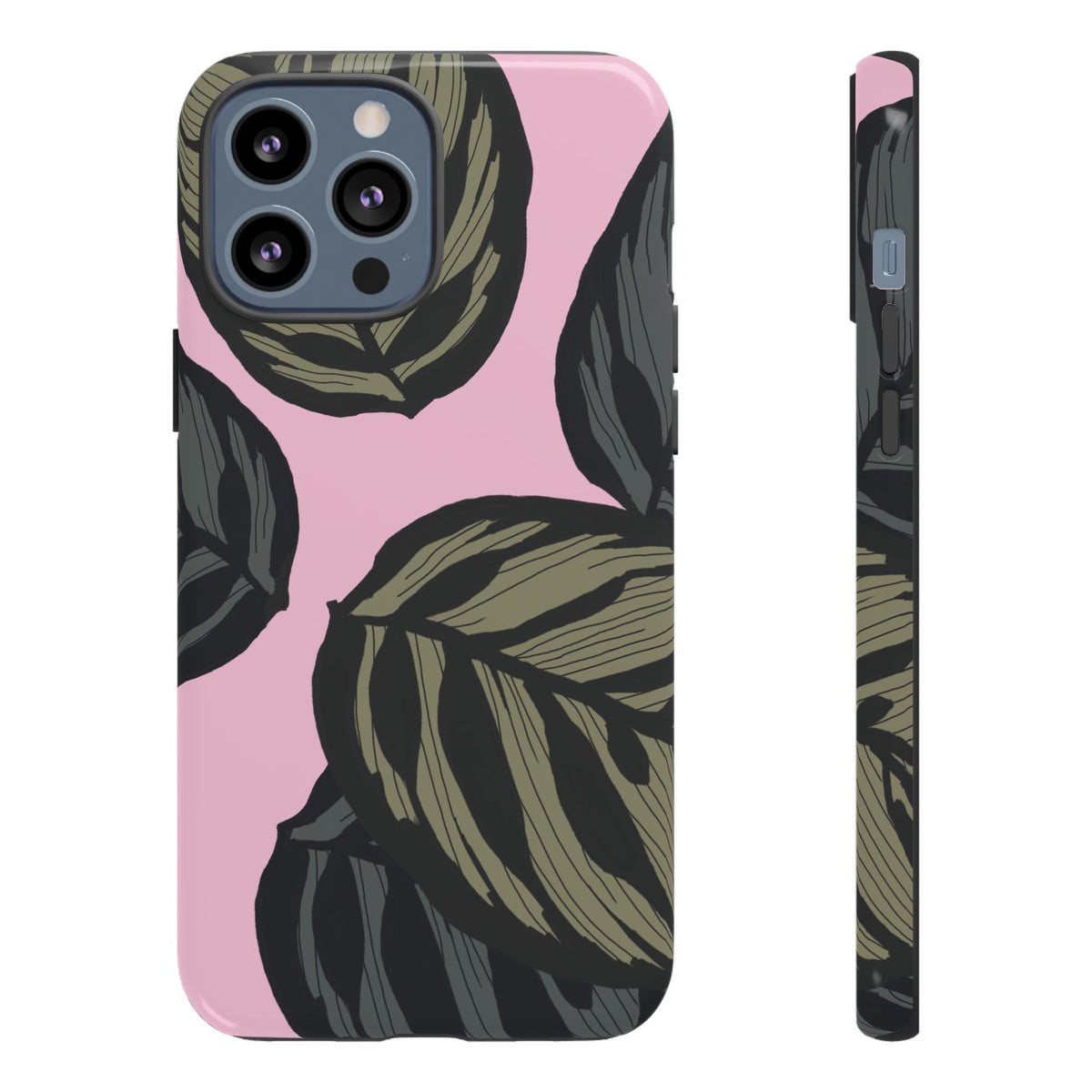 CALATHEA