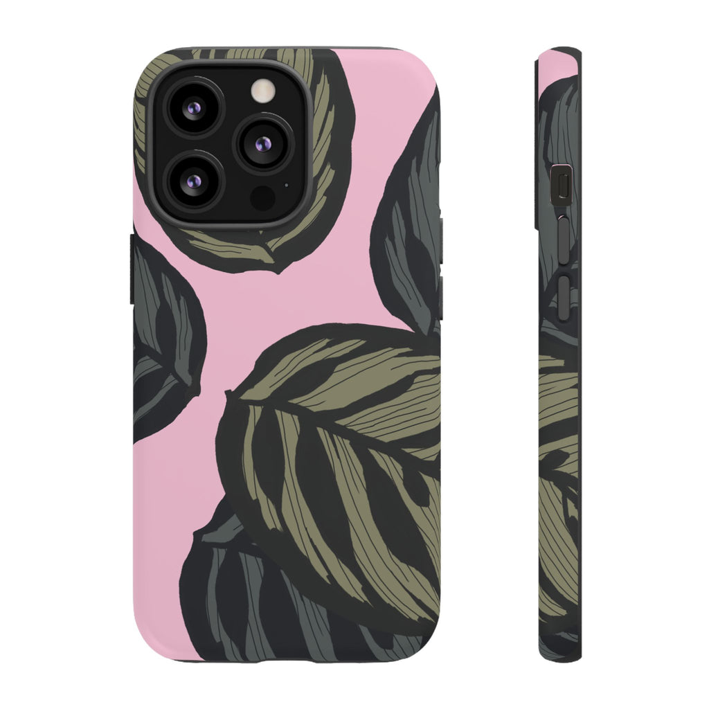 CALATHEA