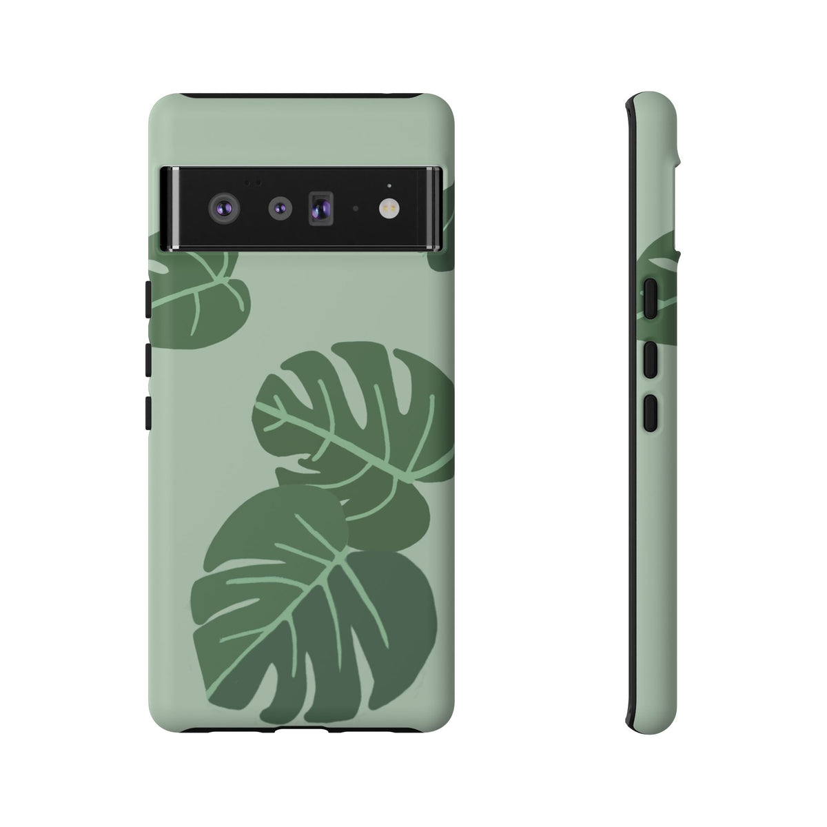 MONSTERA