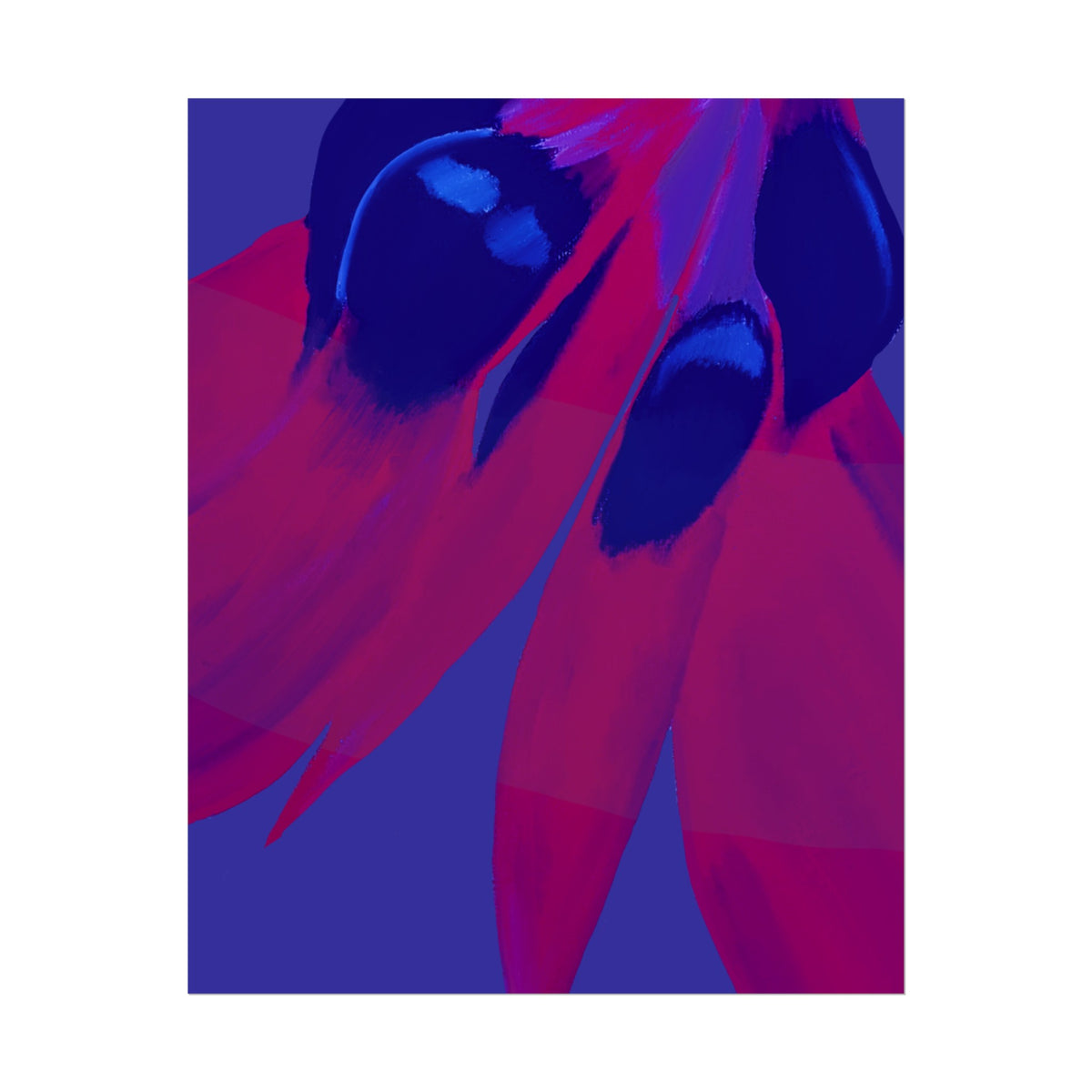 SUNSET DESERT PEA PRINT