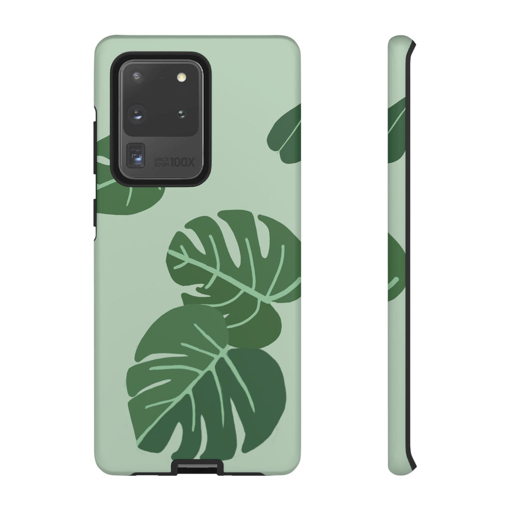 MONSTERA