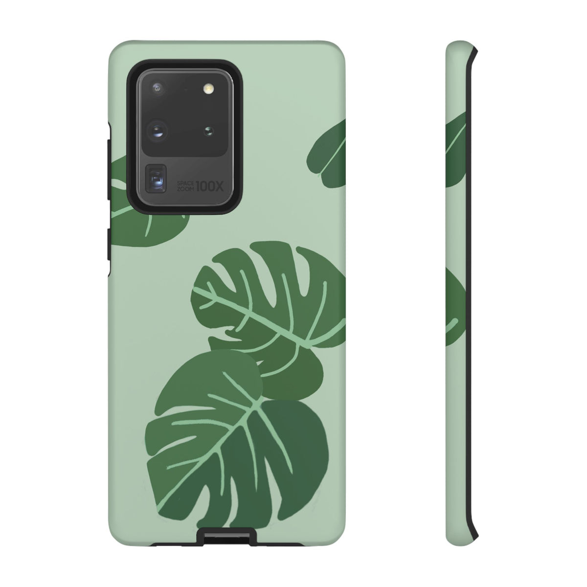 MONSTERA