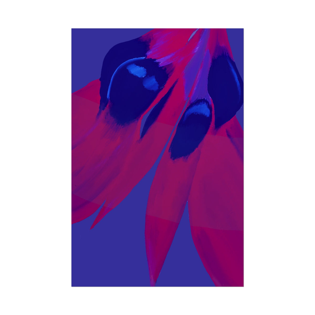 SUNSET DESERT PEA PRINT