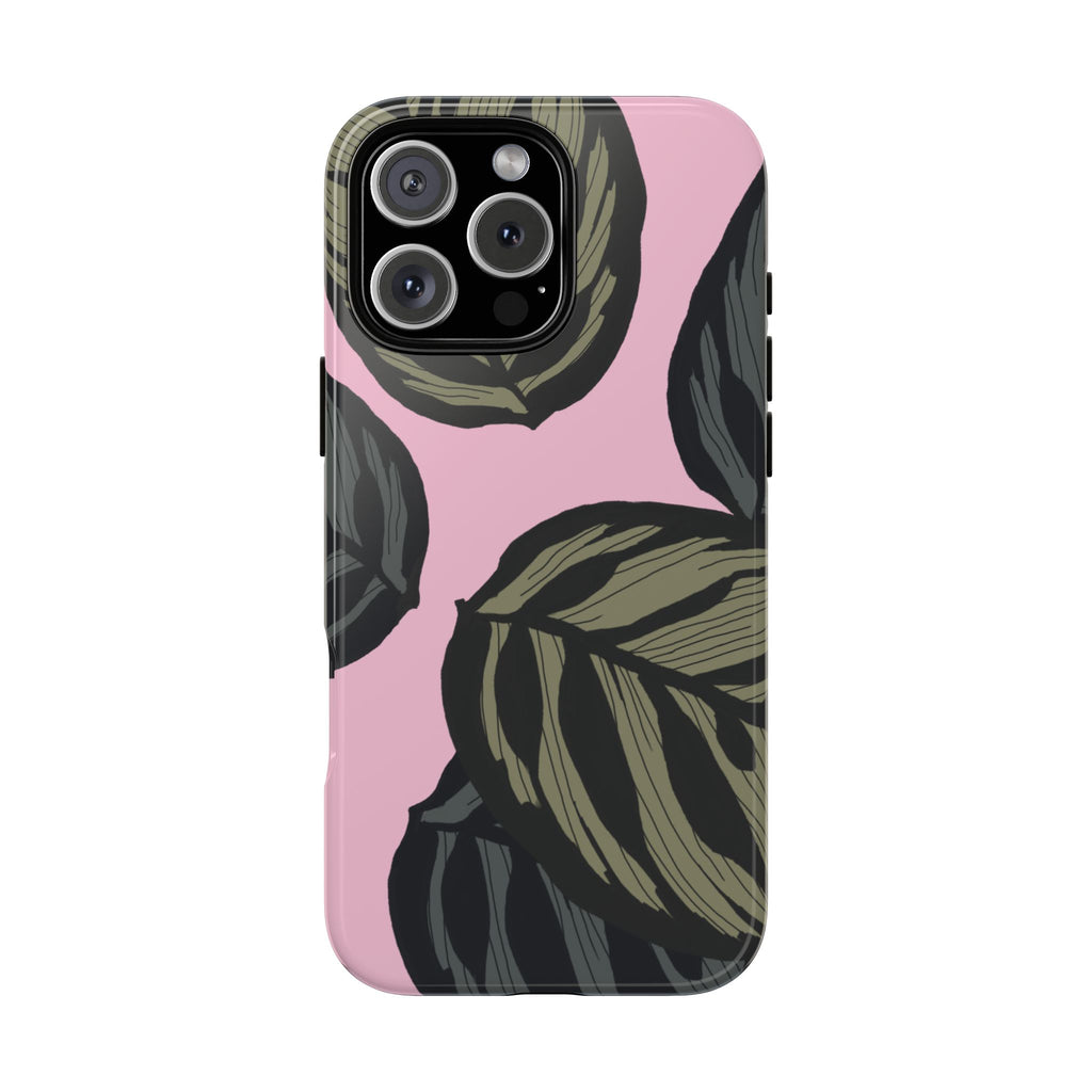 CALATHEA
