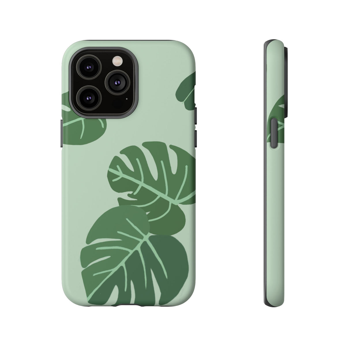 MONSTERA