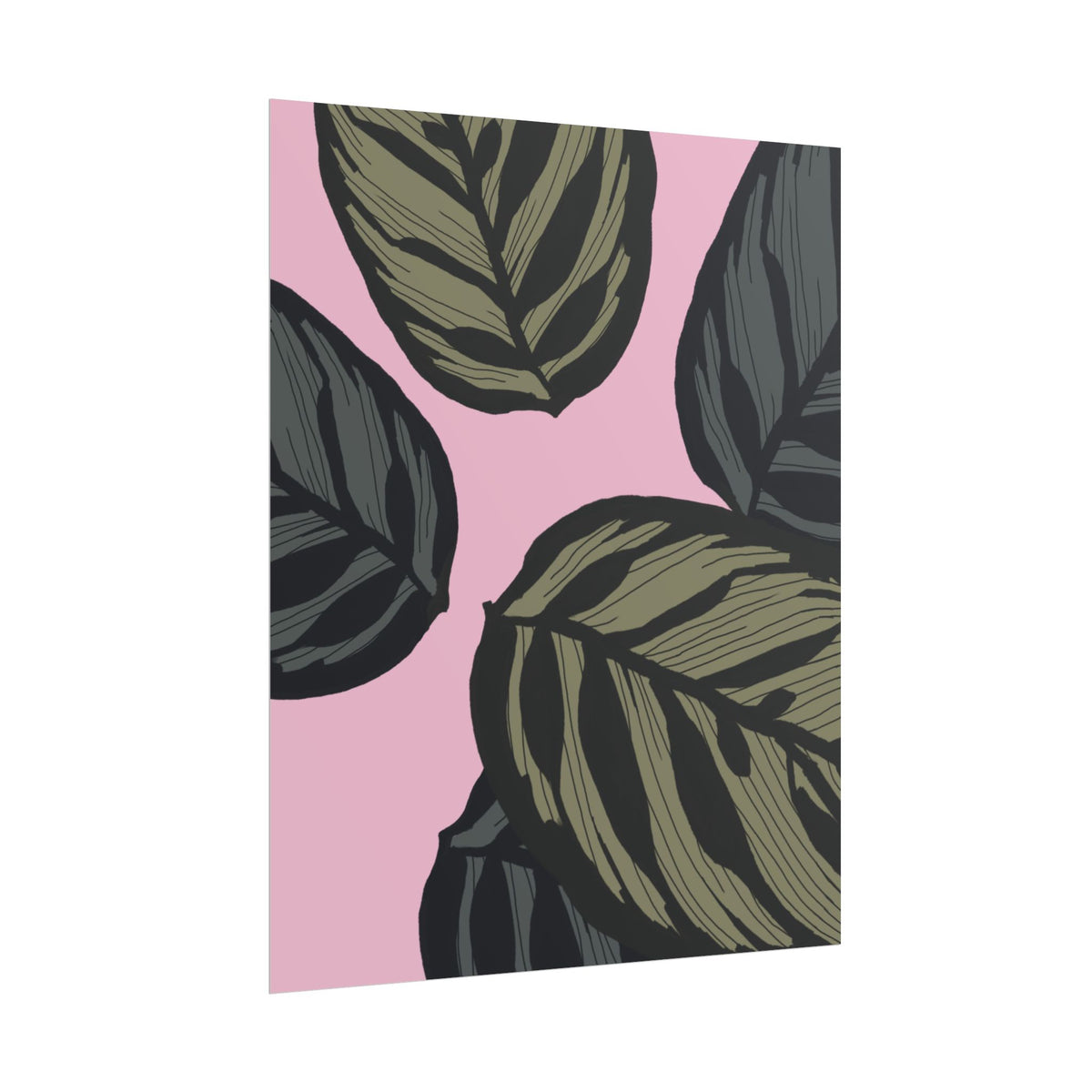 CALATHEA PRINT