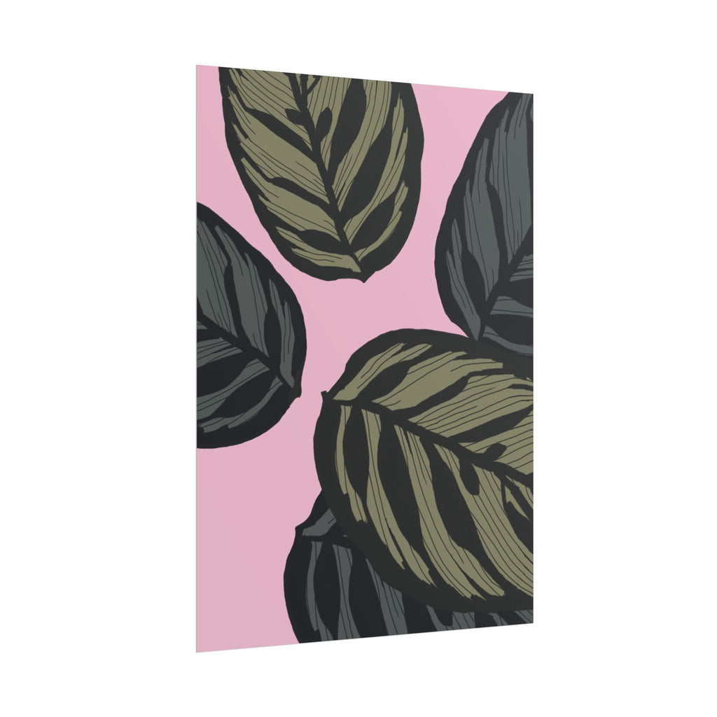 CALATHEA PRINT