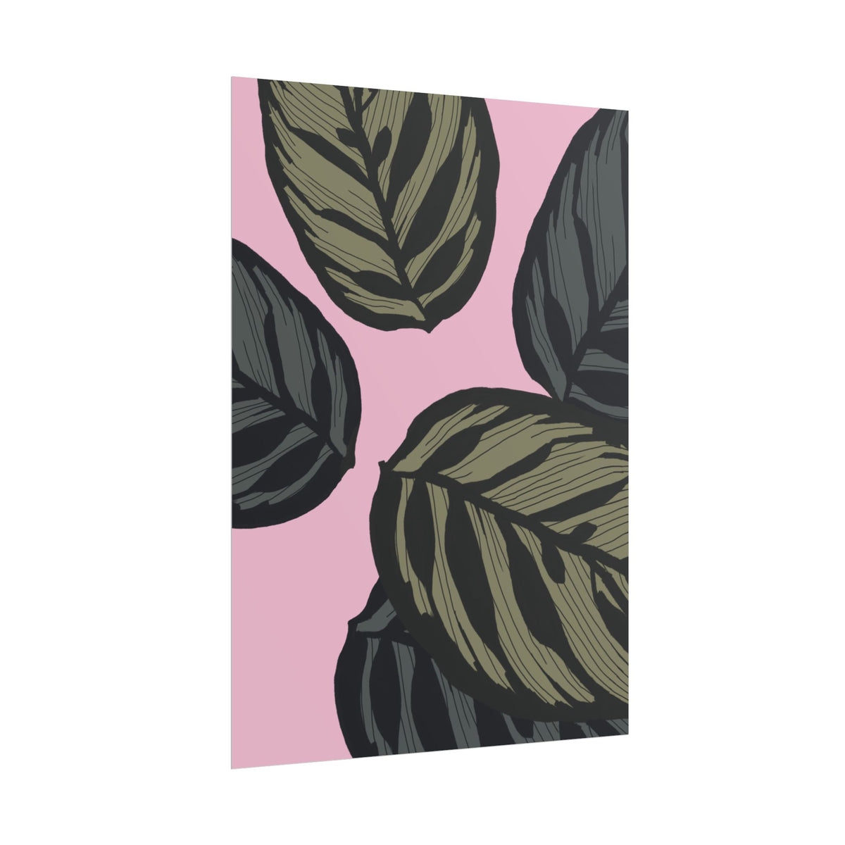 CALATHEA PRINT