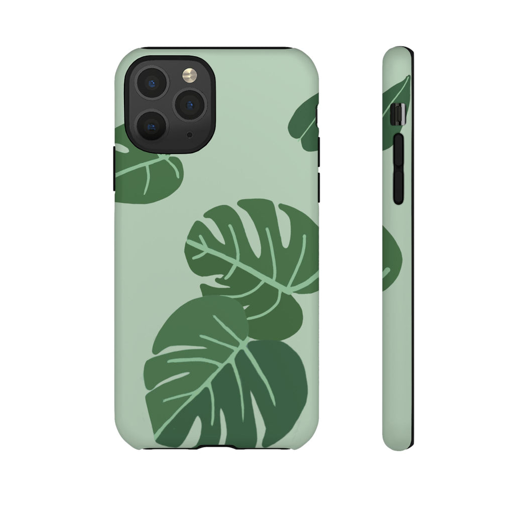 MONSTERA