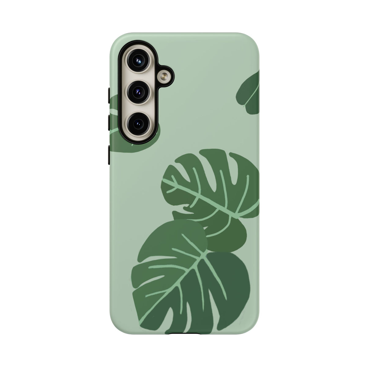 MONSTERA