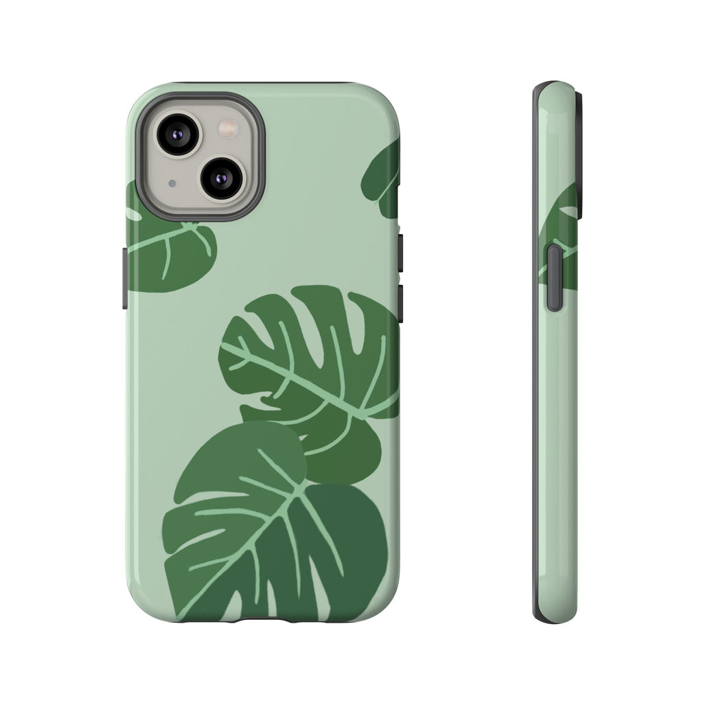 MONSTERA