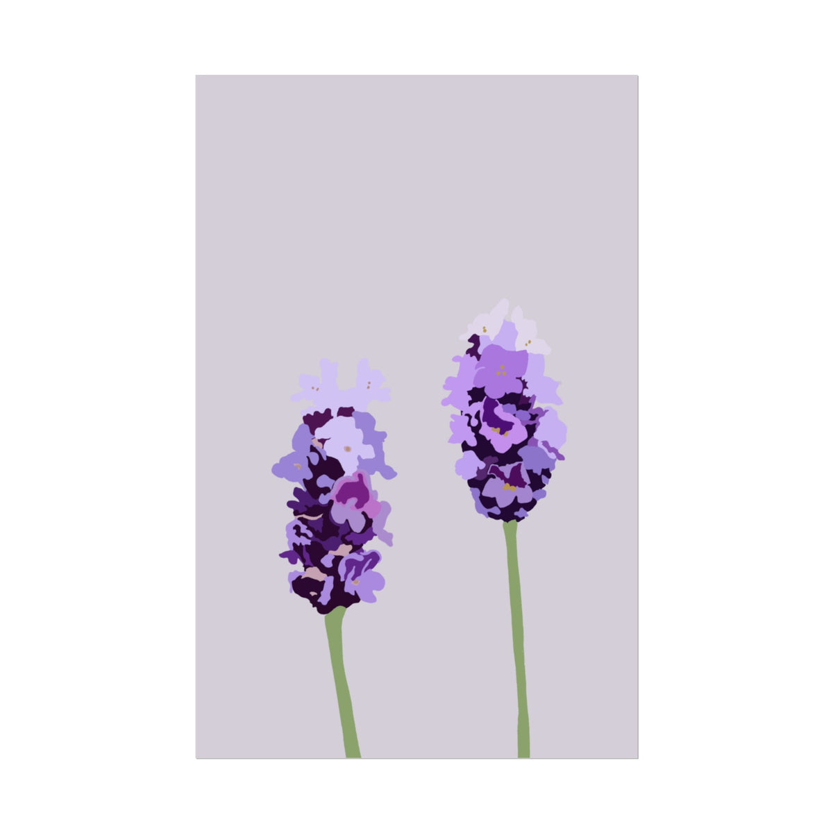 LAVENDER PRINT