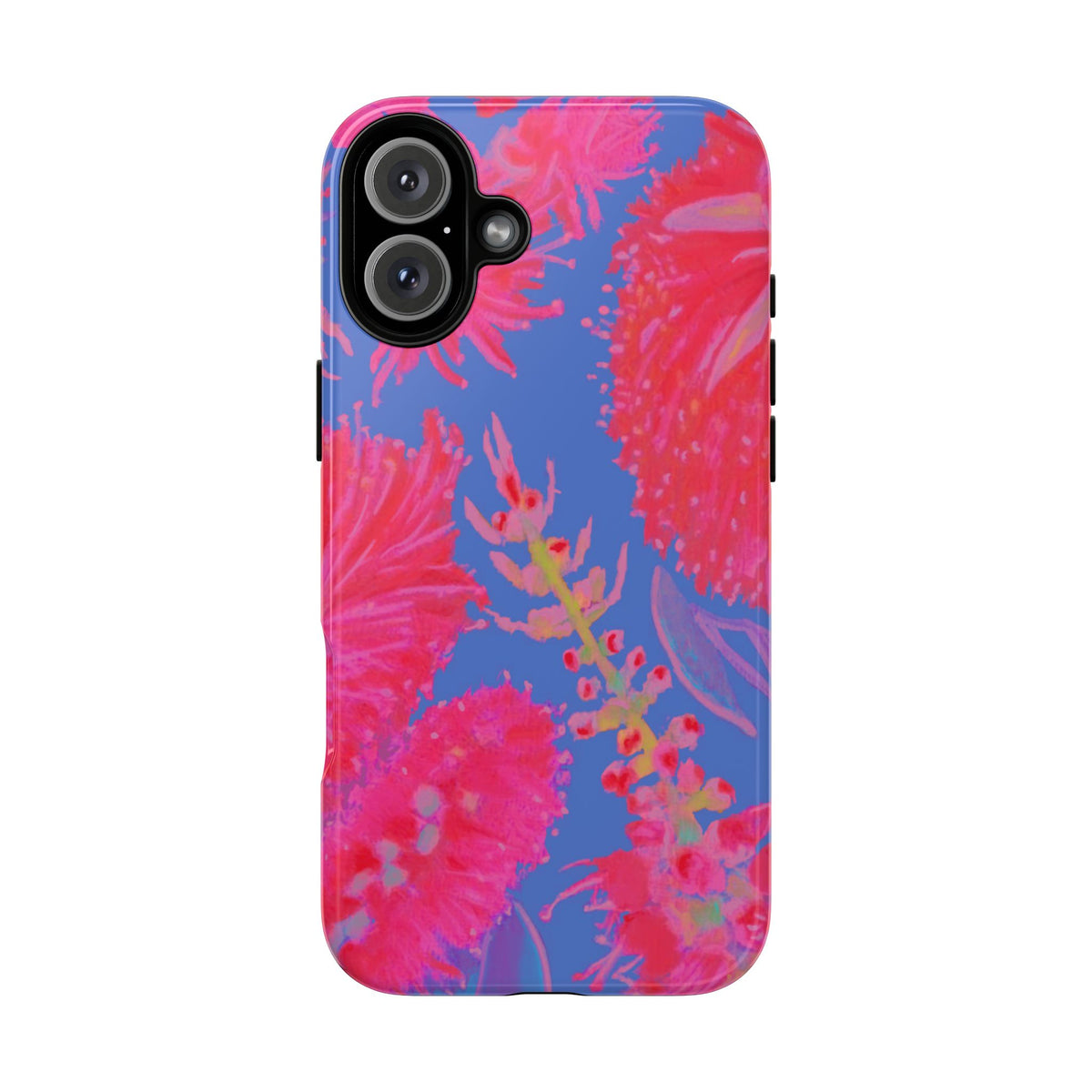 SUNSET CALLISTEMON