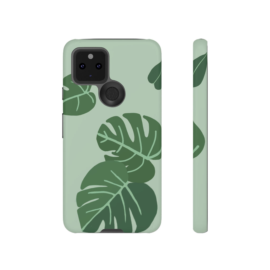 MONSTERA