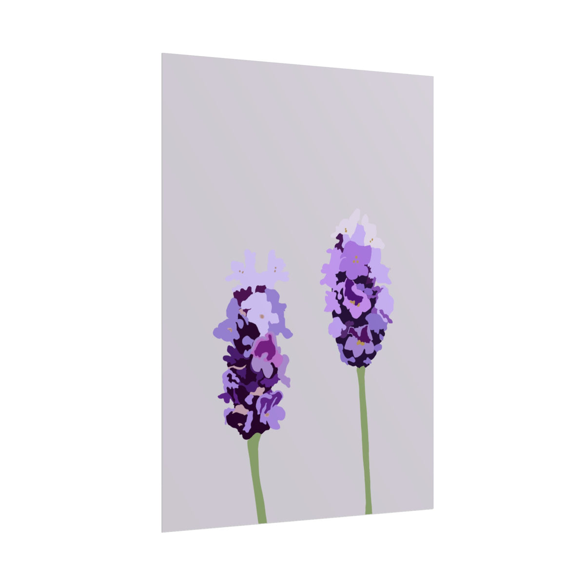 LAVENDER PRINT