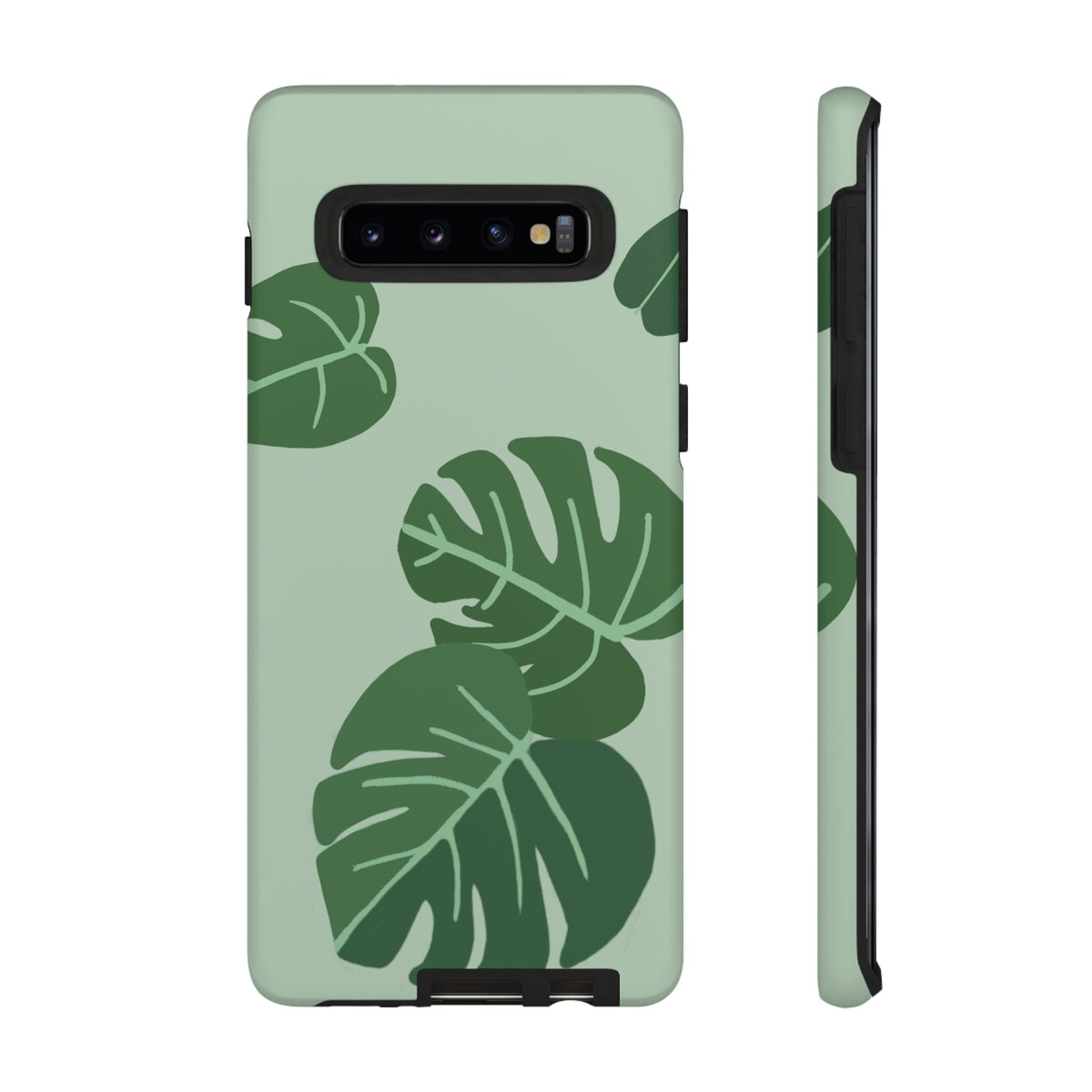 MONSTERA
